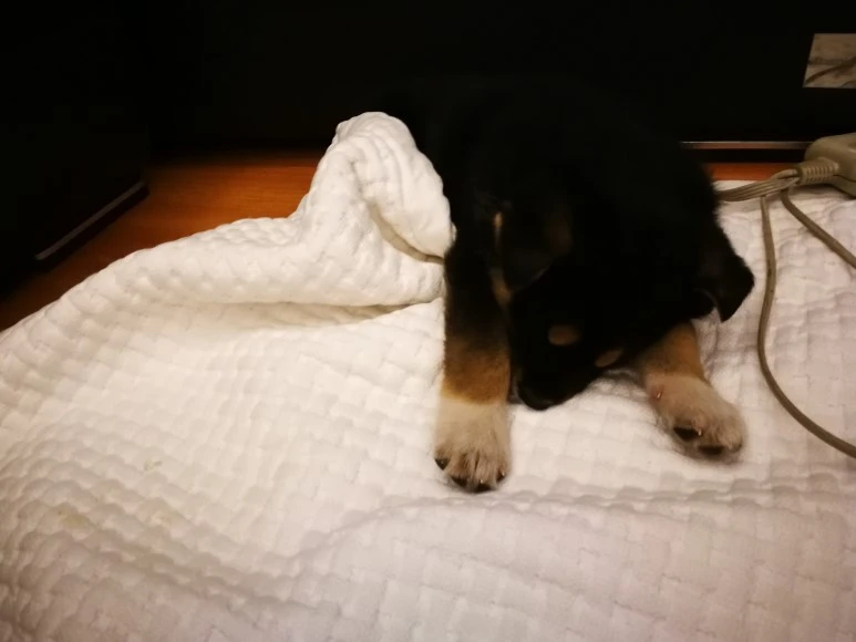 IMG_20170404_233345.jpg?type=w773