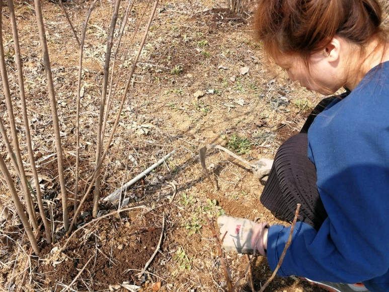 IMG_20170319_115159.jpg?type=w773