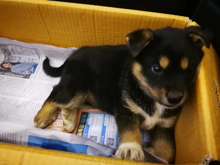 IMG_20170403_231359.jpg?type=w773