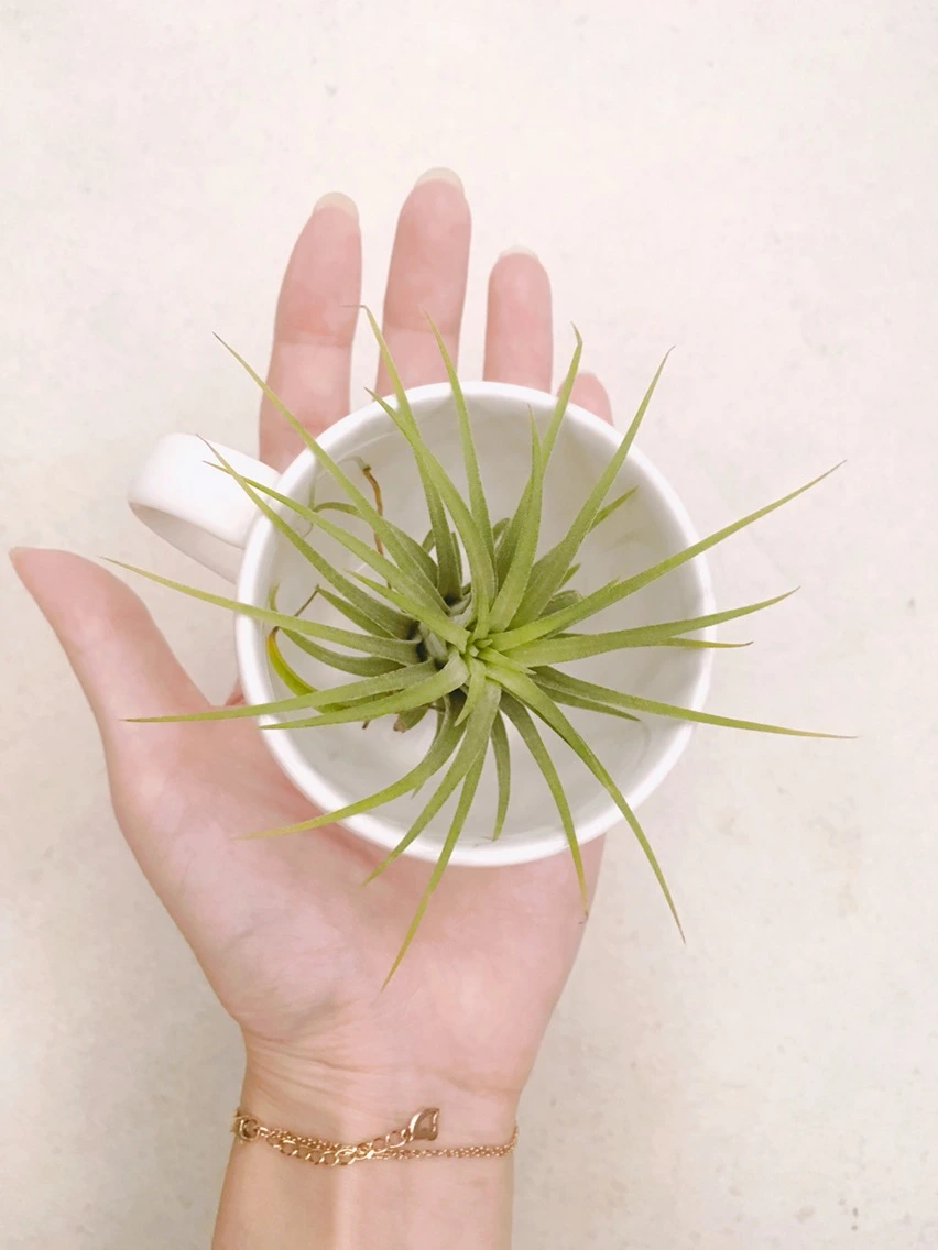 P20160715_012809000_4A704DD8-F791-4873-A45D-F684808419E0 (1).JPG