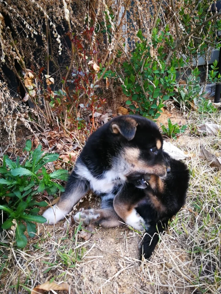 IMG_20170404_071552.jpg?type=w773