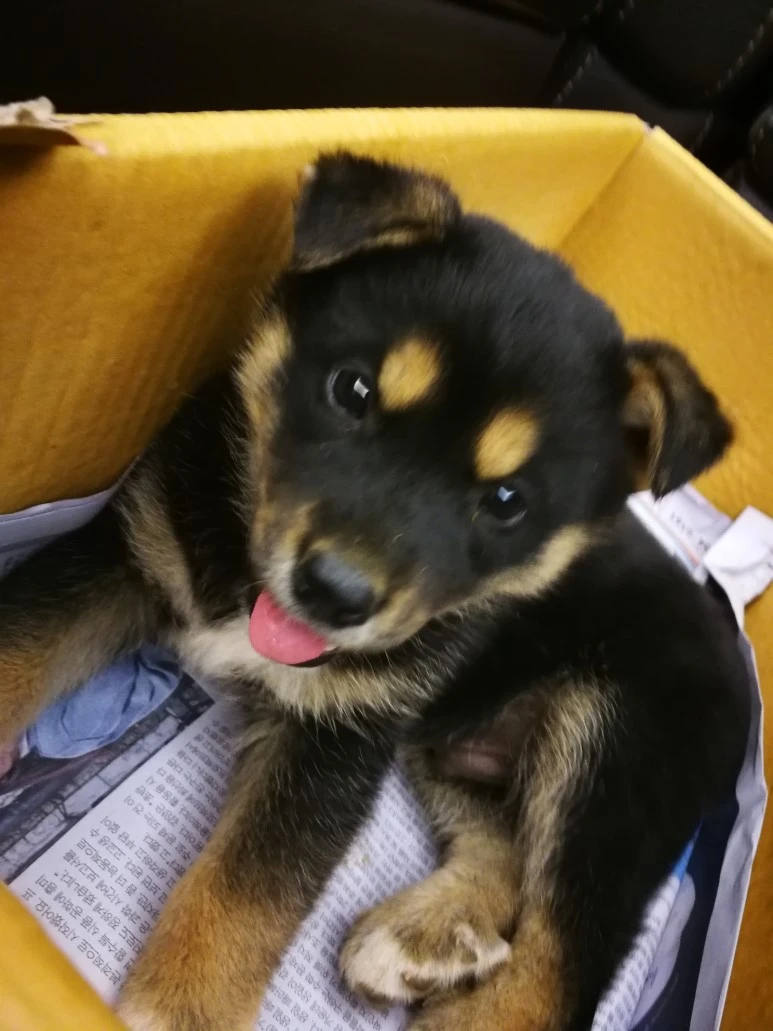 IMG_20170403_232502.jpg?type=w773