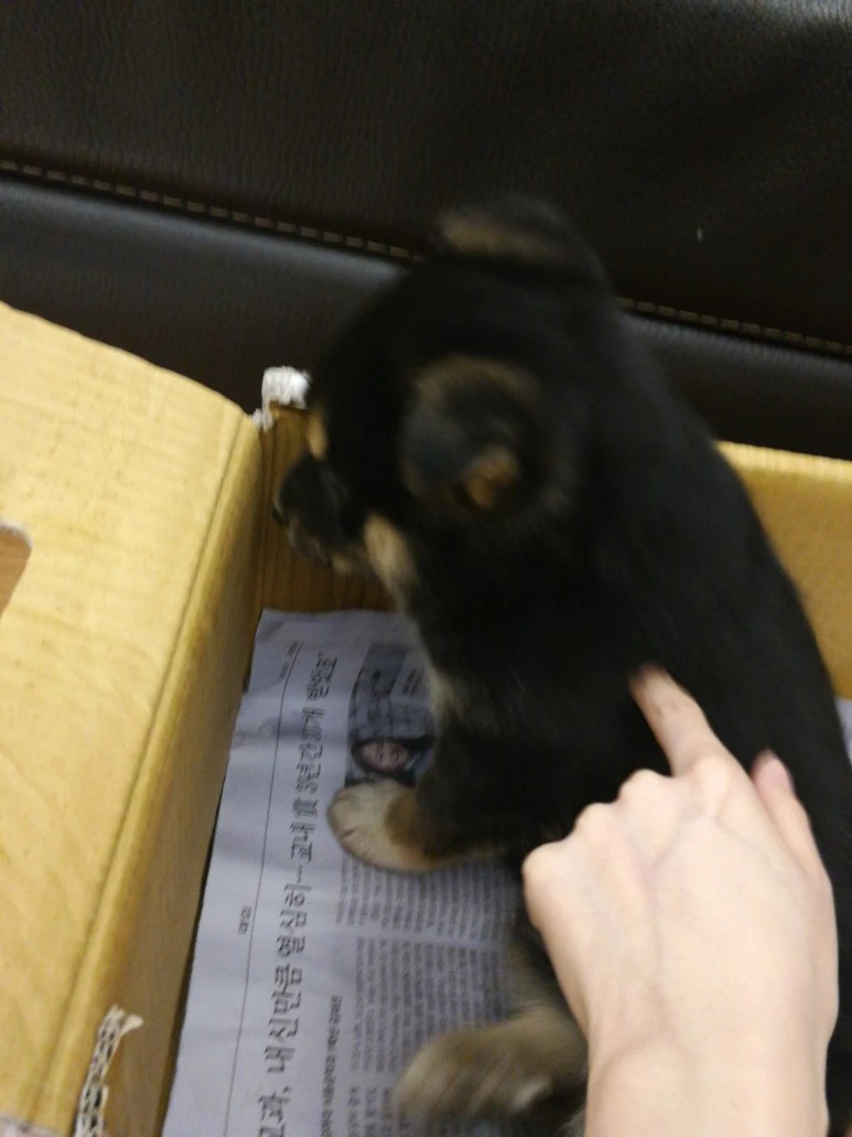 IMG_20170403_231948.jpg?type=w773