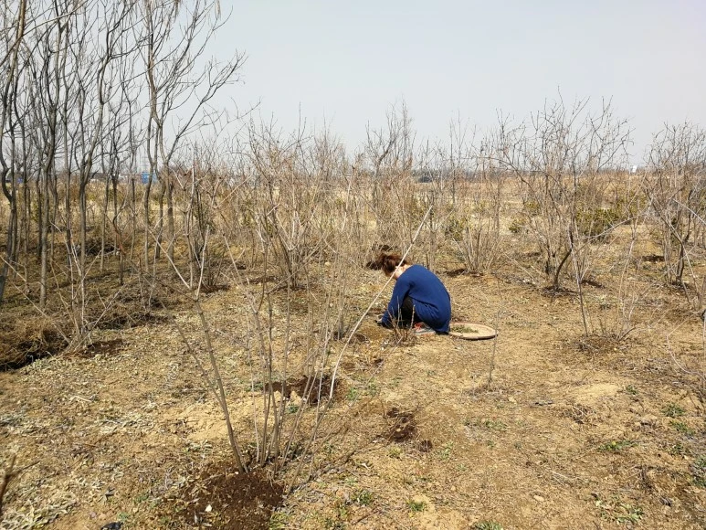 IMG_20170319_115326.jpg?type=w773