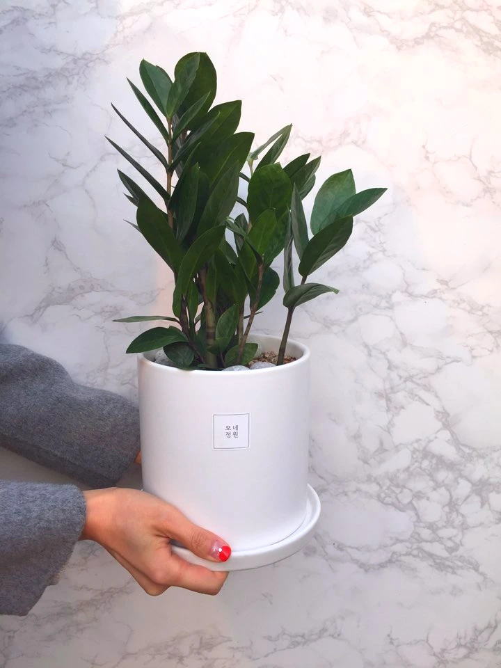 image_3365475801490796408730.jpg?type=w773