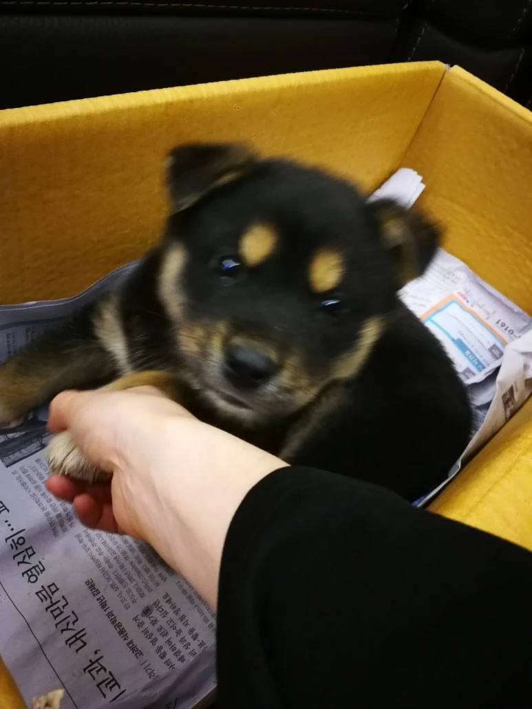 IMG_20170403_232427.jpg?type=w773