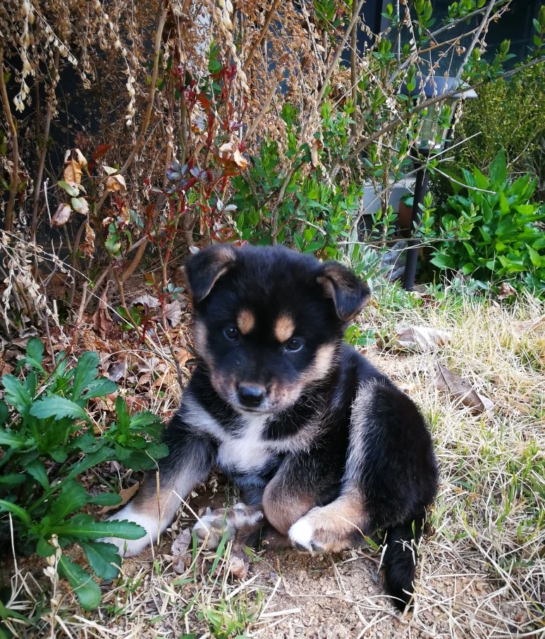 IMG_20170404_153055_806.jpg?type=w773