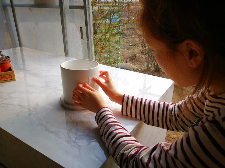 IMG_20170325_172637.jpg?type=w773