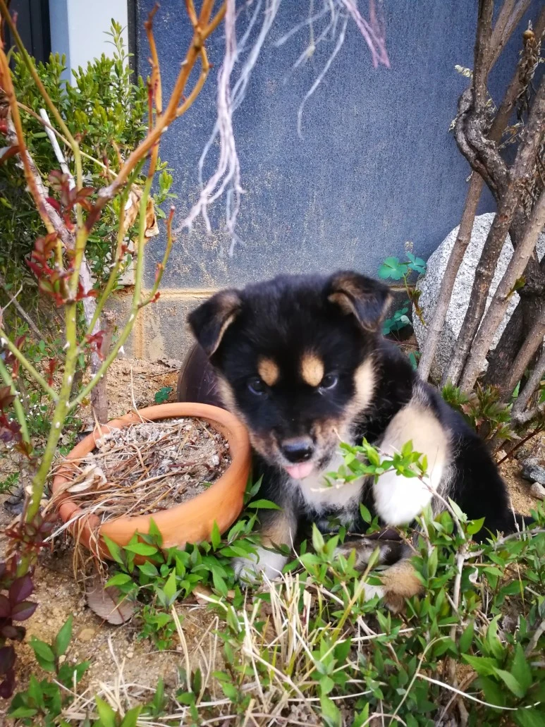 IMG_20170404_071014.jpg?type=w773