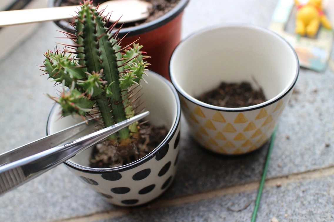 P20160925_164440000_FAA7546C-FB86-4CFD-80D6-DACBD0EDC4F4 (1).JPG