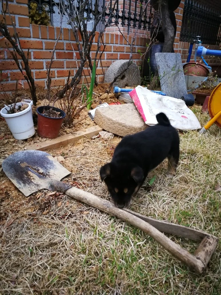 IMG_20170405_071304.jpg?type=w773