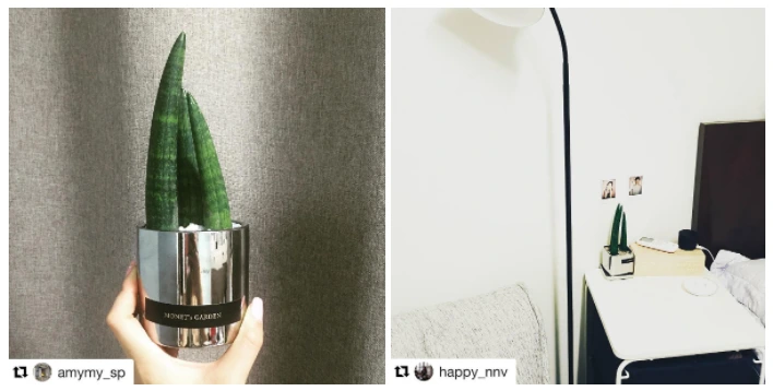 %EC%8A%A4%ED%81%AC%EB%A6%B0%EC%83%B7_2017-03-29_%EC%98%A4%ED%9B%84_11.04.35.png?type=w773