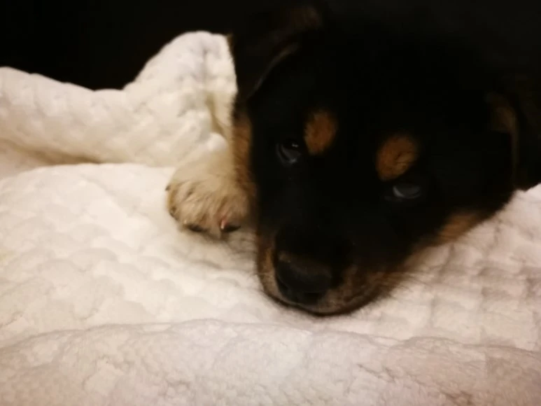 IMG_20170404_232901.jpg?type=w773