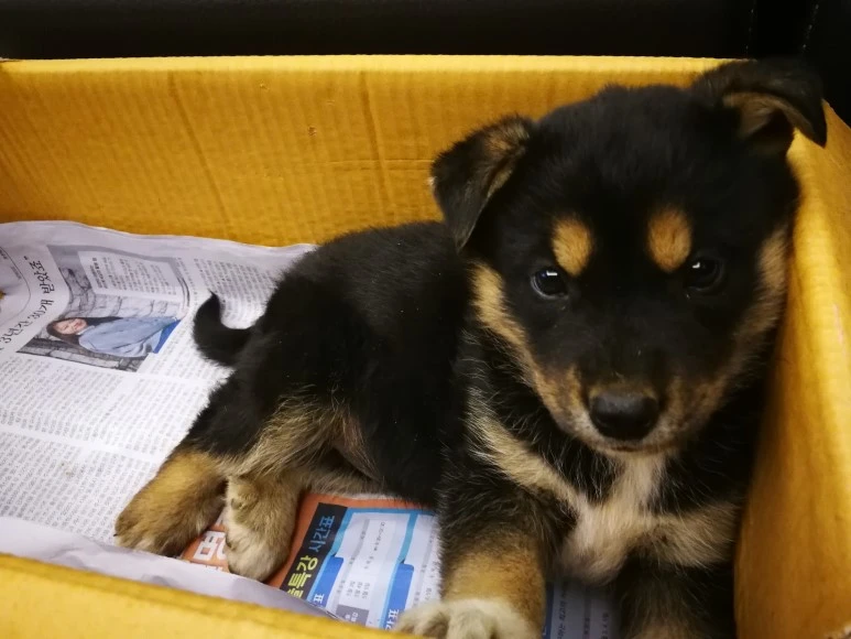 IMG_20170403_231402.jpg?type=w773