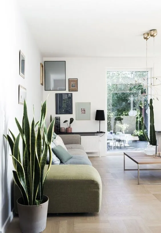 %EA%B3%B5%EA%B8%B0%EC%A0%95%ED%99%94%EC%8B%9D%EB%AC%BC_%EC%82%B0%EC%84%B8%EB%B2%A0%EB%A6%AC%EC%95%842.jpg?type=w773