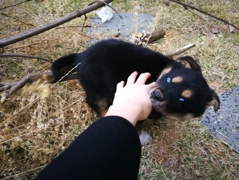 IMG_20170405_071053.jpg?type=w773