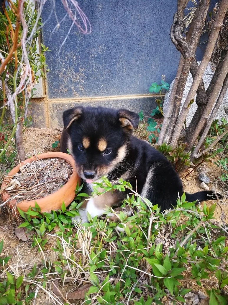 IMG_20170404_071011.jpg?type=w773