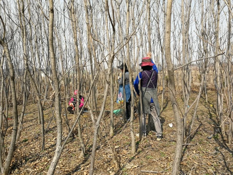 IMG_20170319_115630.jpg?type=w773