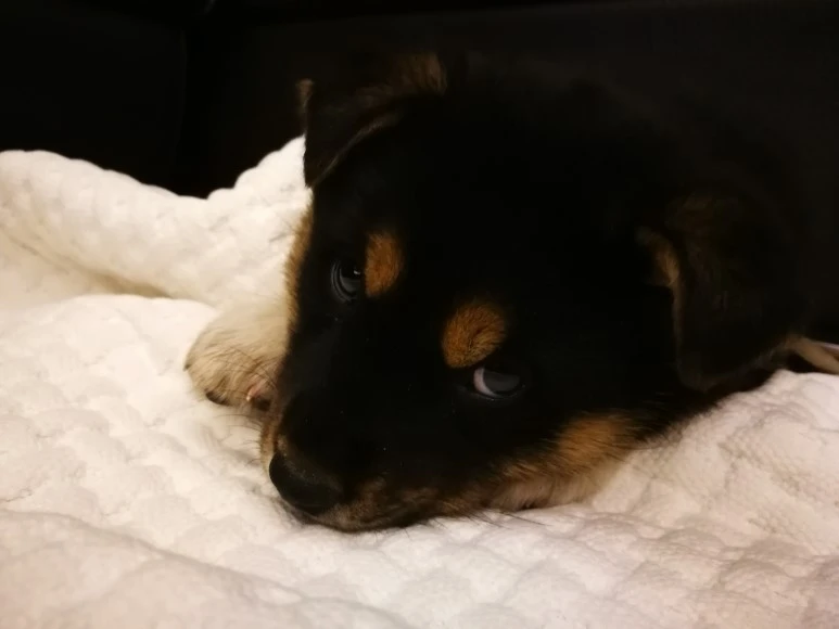 IMG_20170404_232849.jpg?type=w773