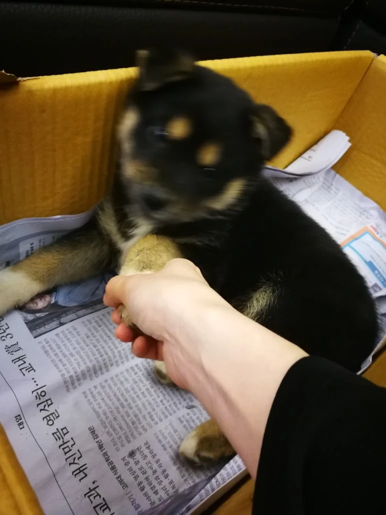 IMG_20170403_232426.jpg?type=w773