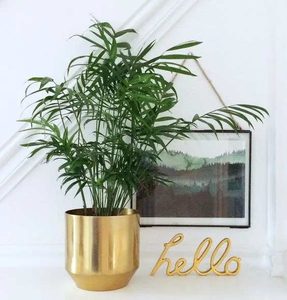 %EA%B3%B5%EA%B8%B0%EC%A0%95%ED%99%94%EC%8B%9D%EB%AC%BC_%ED%85%8C%EC%9D%B4%EB%B8%94%EC%95%BC%EC%9E%90.jpg?type=w773