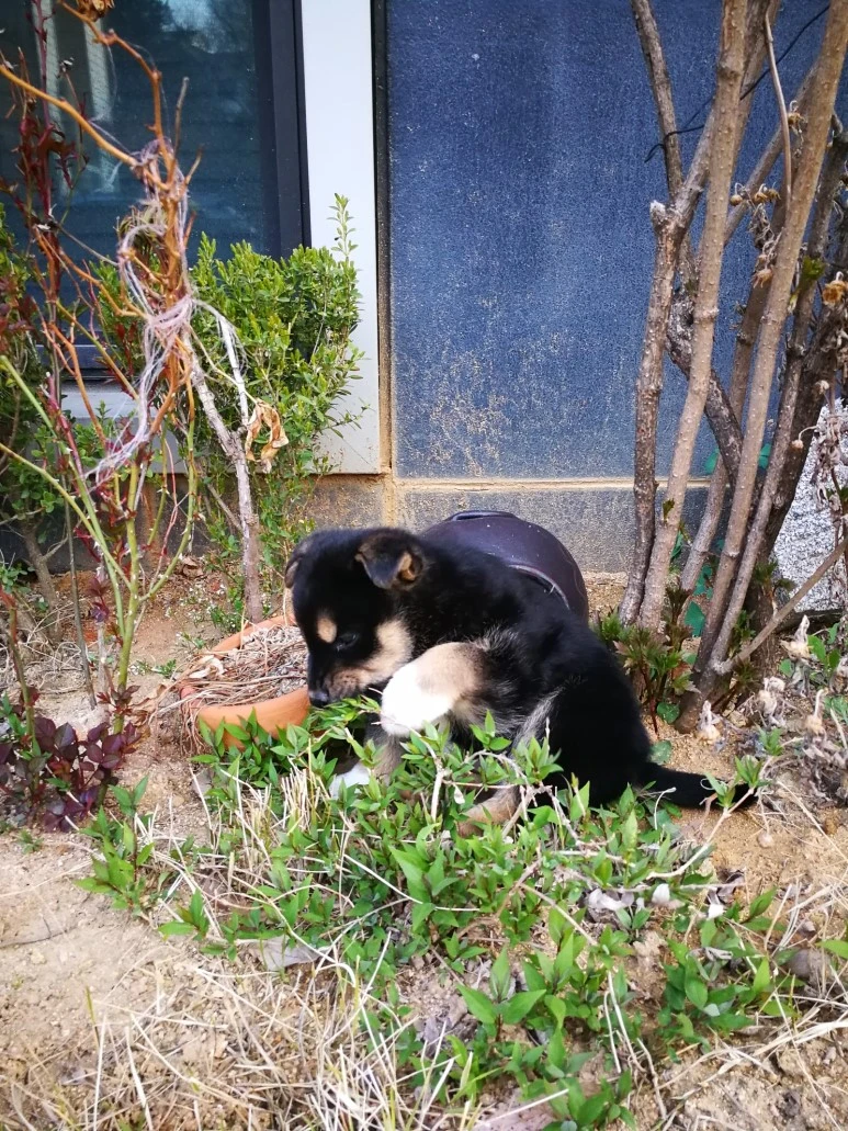 IMG_20170404_071002.jpg?type=w773