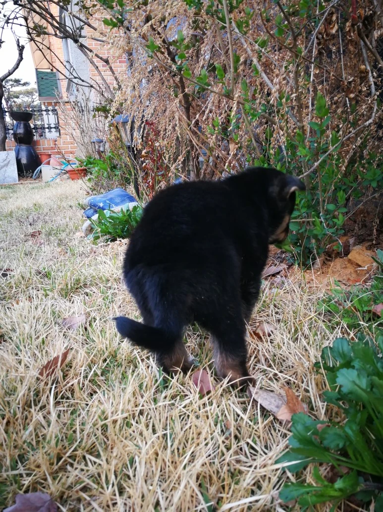 IMG_20170404_070821.jpg?type=w773