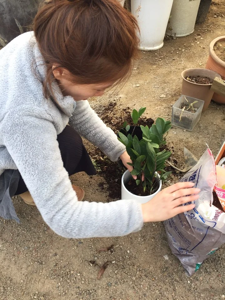 1490434831346.jpg?type=w773