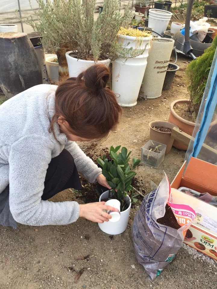 1490434833313.jpg?type=w773