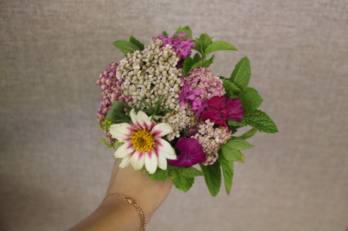 P20160627_221743000_203E3D7B-CA8A-4B84-9FEA-85C662285EFE (1).JPG