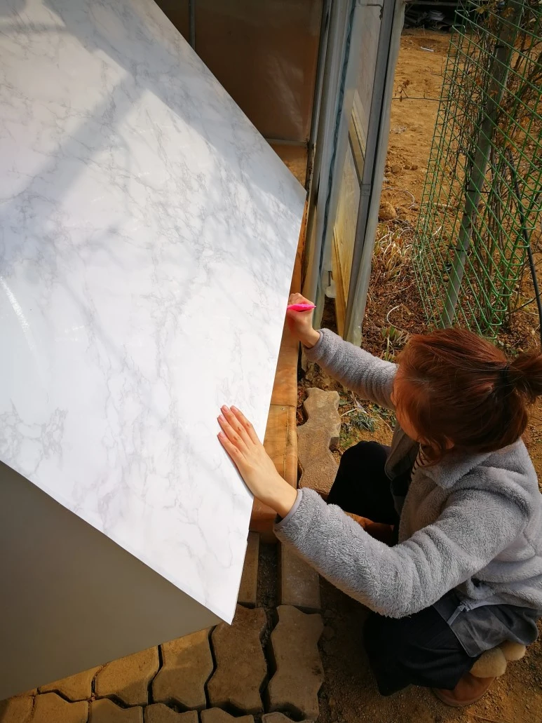 IMG_20170325_142319.jpg?type=w773