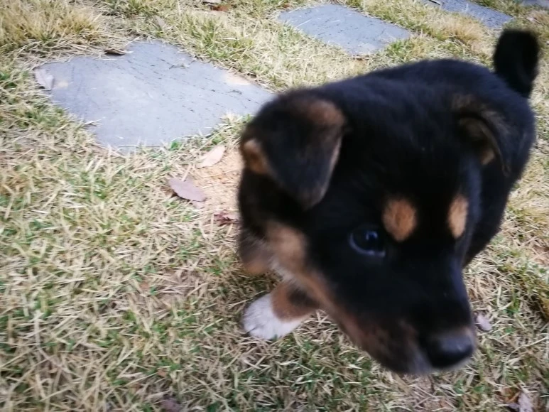 IMG_20170405_071101.jpg?type=w773