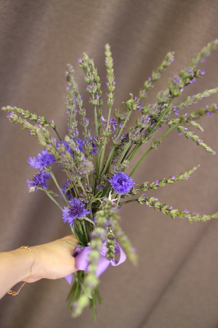 P20160627_214334000_2CCAD933-1CC9-424D-8E6B-A636CB54F111 (1).JPG