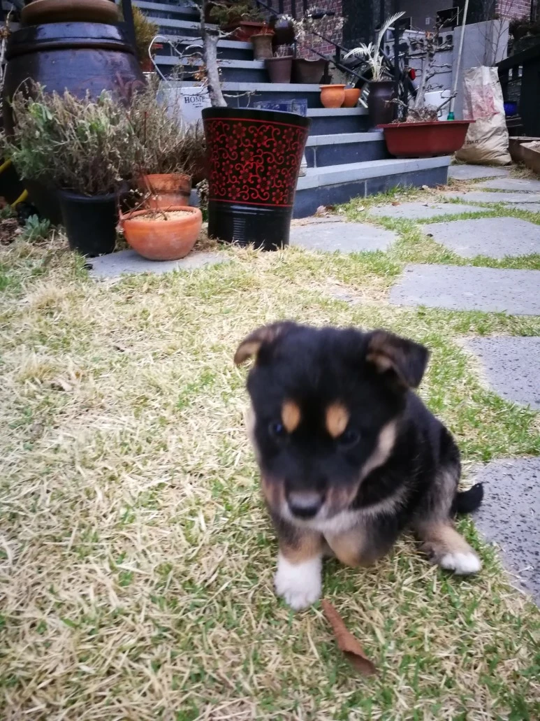 IMG_20170405_071535.jpg?type=w773