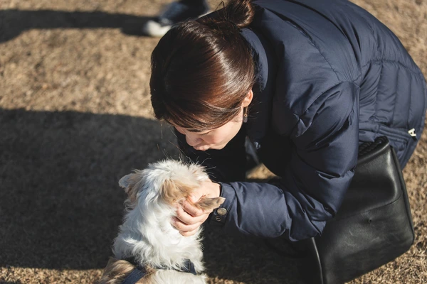 SE-a952eecf-eec4-462d-b082-01ed55e5721f.jpg?type=w1