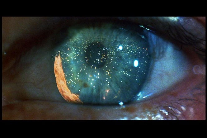 movie_image_%283%29.jpg?type=w966