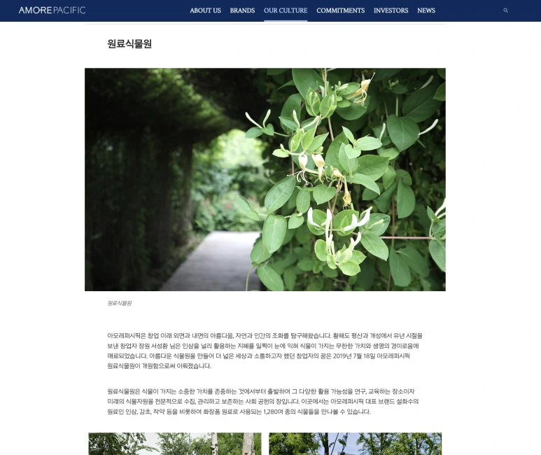 %EC%8A%A4%ED%81%AC%EB%A6%B0%EC%83%B7_2024-07-28_%EC%98%A4%ED%9B%84_11.13.37.png?type=w773