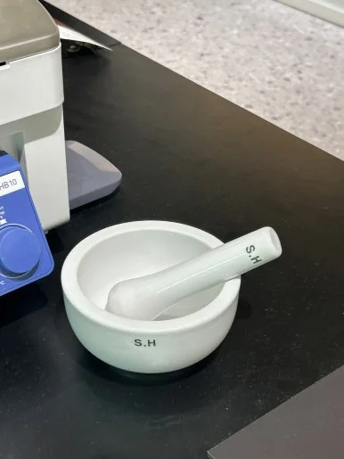 IMG_2316.JPG?type=w386