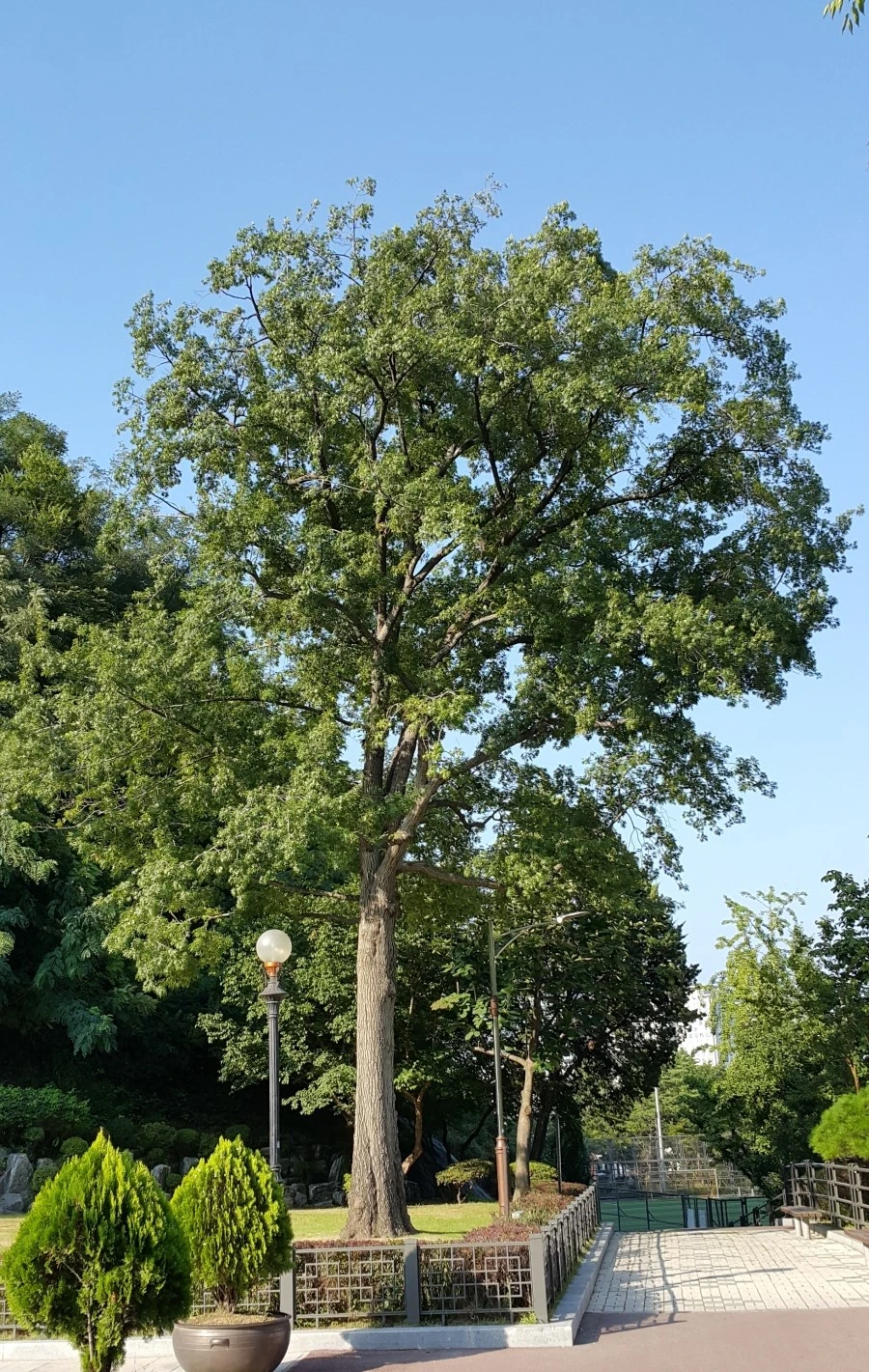 20160807_171525_NEW.jpg?type=w1