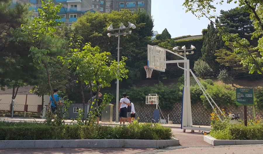 20160807_144522_NEW.jpg?type=w1