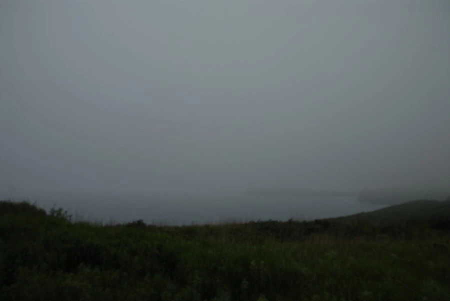 DSC_0027.JPG?type=w1