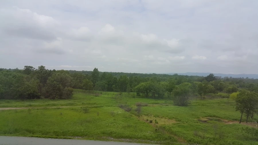 20160620_123148.jpg?type=w1