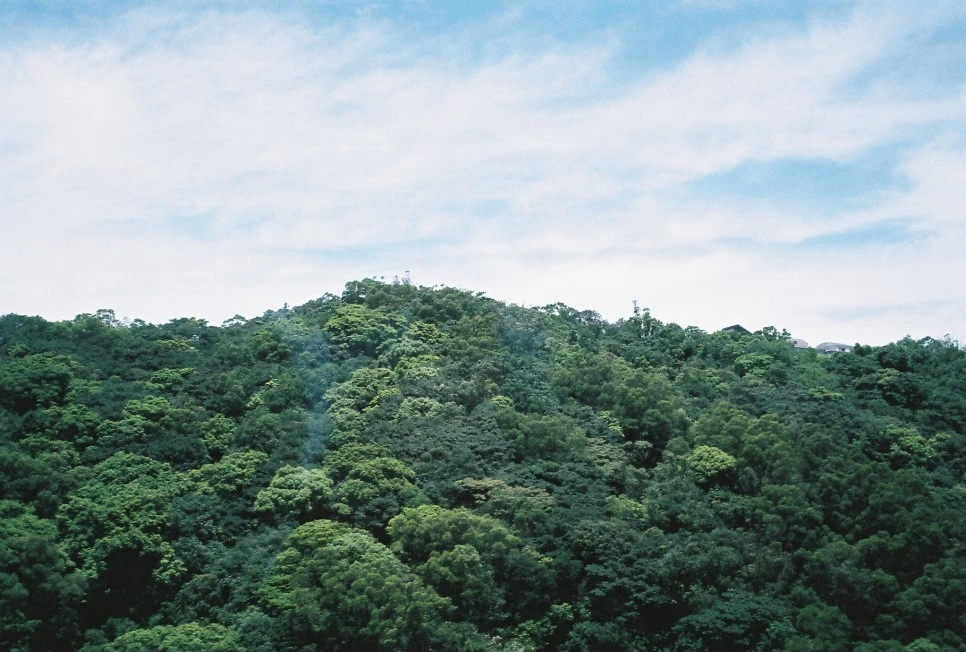 000040.JPG?type=w966