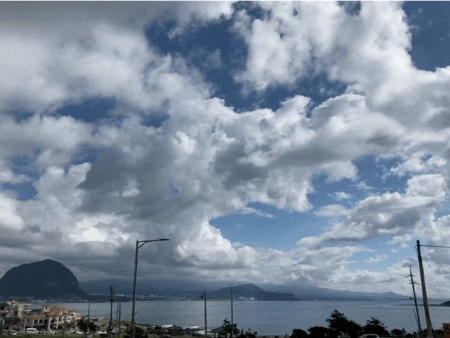 IMG_2866.GIF?type=w1