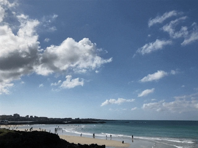 IMG_3010.GIF?type=w1