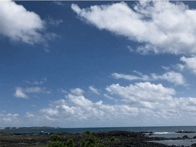 IMG_2998.GIF?type=w1