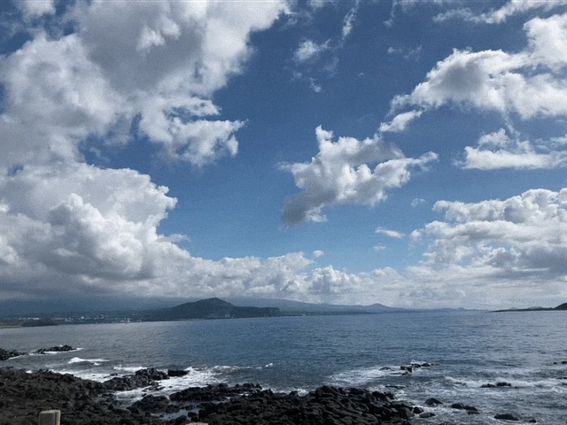 IMG_2872.GIF?type=w1