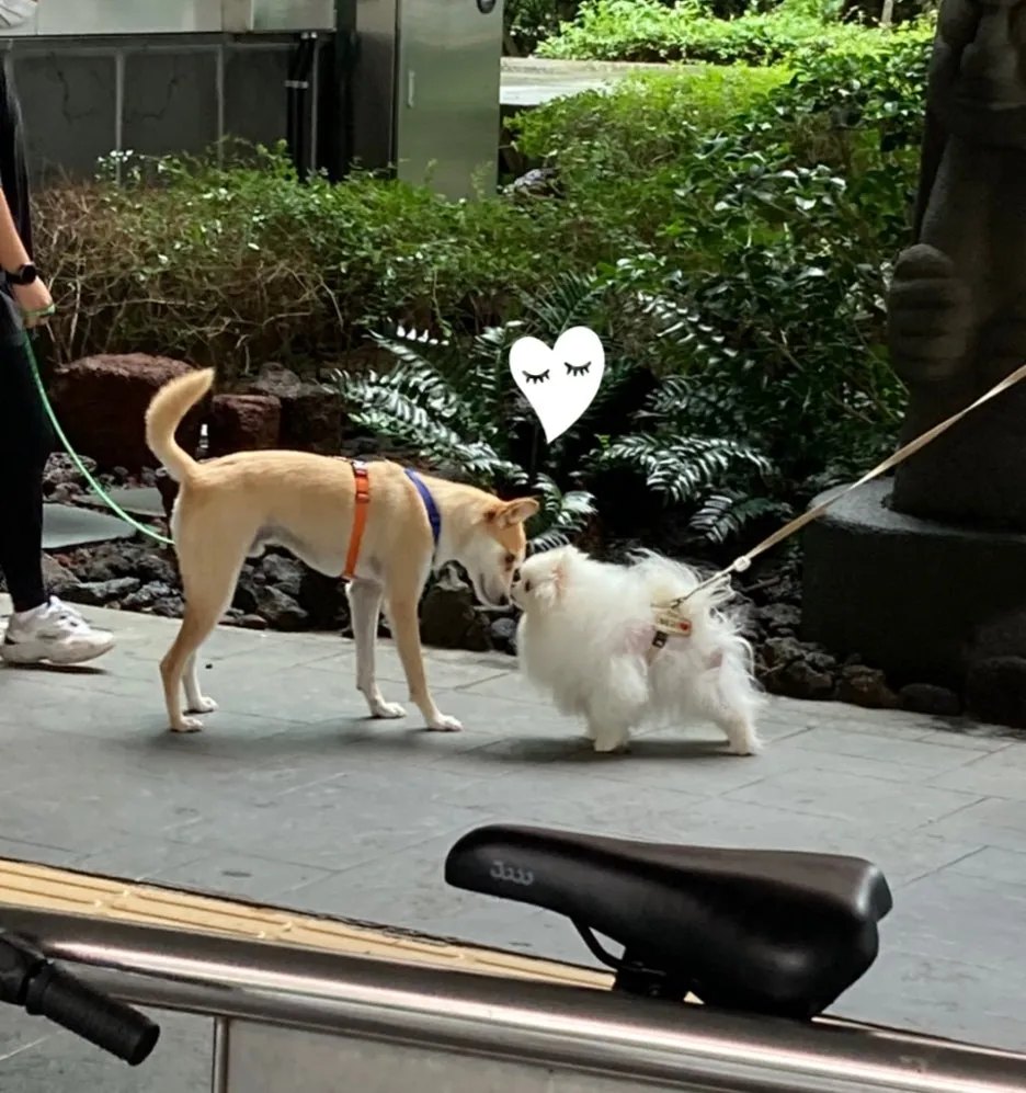 SE-7e67a133-0f66-436f-b2d2-836b5bf5cc23.jpg?type=w1