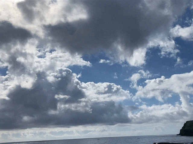 IMG_2874.GIF?type=w1