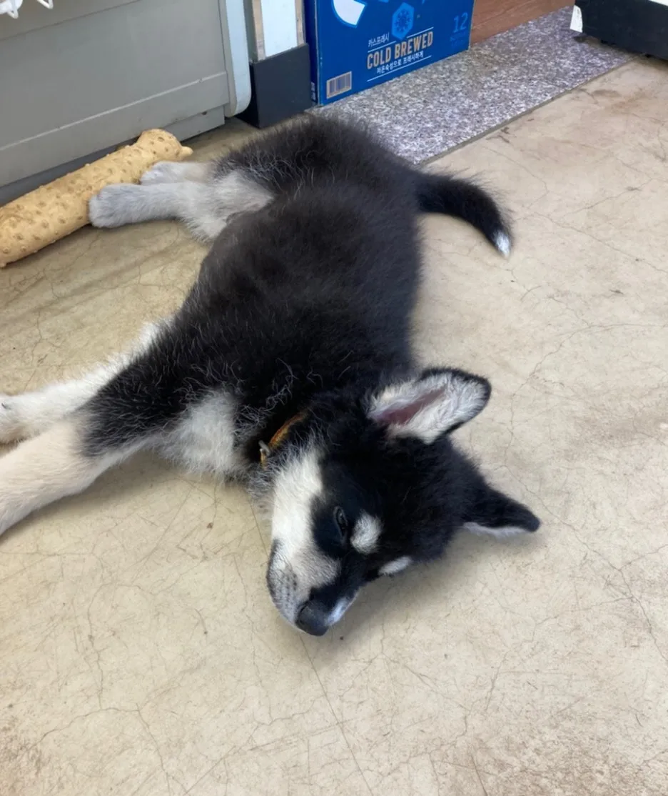 SE-a4b8f5dd-a4a7-416b-9388-4fb4818c7afe.jpg?type=w1